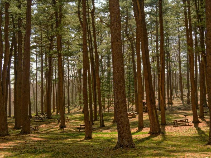 sudoku pattern recognition screenshot 4